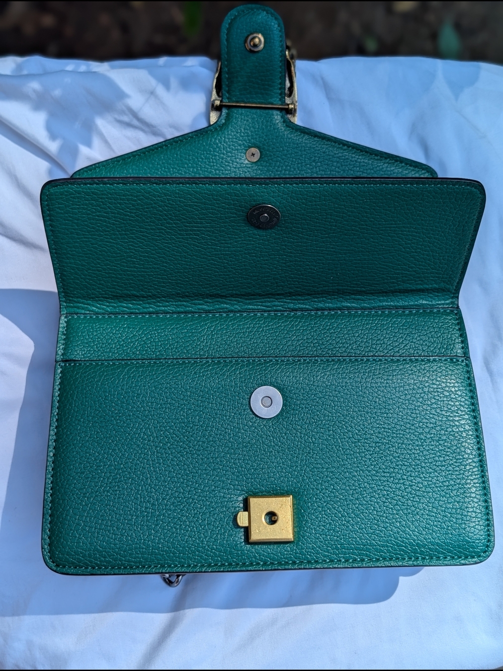Tiffany & Fred Paris Crested Dragon Emerald Green Leather Bag Silver Chain NWT - Picture 14 of 16